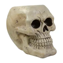 9" Ivory & Black Halloween Skull Tabletop D&eacute;cor