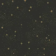 RoomMates Upon a Star Peel & Stick Wallpaper Black