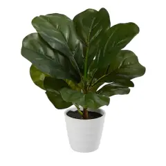 11" Fiddle Leaf Fig Plant in Decorative White Planter