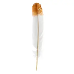 John Bead 12" White & Brown Imitation Eagle Feathers, 18ct.