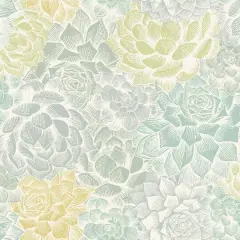 RoomMates Mr. Kate Succulent Plant Peel & Stick Wallpaper