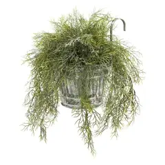 10" Spanish Moss in Vintage Hanging Metal Pail
