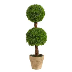 2.5ft. Potted Boxwood Double Ball Topiary Tree