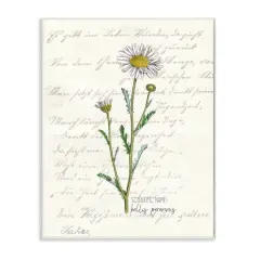 Stupell Industries Vintage Daisy Illustration Wall Plaque