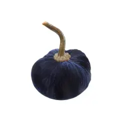 Flora Bunda&reg; 8" Velvet Decorative Pumpkin Dark Navy