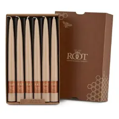 Root Candles 9" Unscented Taper Candles, 12ct. Blossom