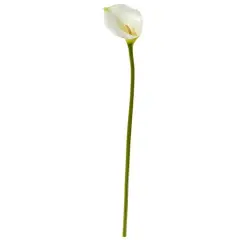 White Calla Lily Flower Stems, 6ct.