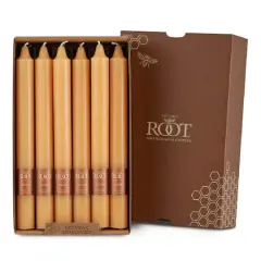 Root Candles Arista&trade; 9" Smooth Dinner Candles, 12ct. Mandarin