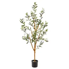 3.5ft. Potted Sparse Olive Tree