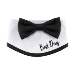 Best Furry Friends Bowtie Dog Collar Classic