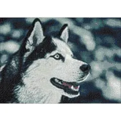 Wizardi Northern Friend Diamond Painting Kit