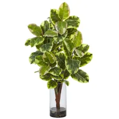 3ft. Rubber Leaf Plant in Glass Cylinder