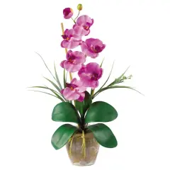 21" Moth Orchid Flower Arrangement in Ceramic Pot Mauve