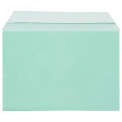 JAM Paper 5.063" x 7.188" Cello Sleeves with Self Adhesive Closures, 100ct. Green