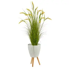 5ft. Wheat Grain Plant in Decorative White Planter