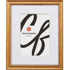 Craig Frames Stratton Aged Gold Picture Frame with Mat