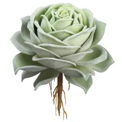 6.3" Green Rose Echeveria Pick 