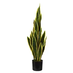2.5ft. Potted Variegated Snake Plant