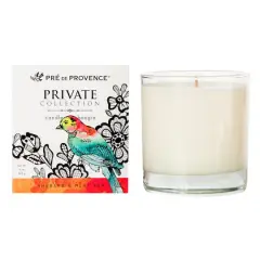 European Soaps Private Collection Jar Candle Rhubarb and Mint Tea