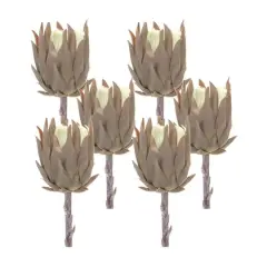 Tan Protea Stem, 6ct.