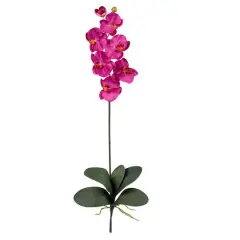 Beauty Pink Moth Orchid Stem, 6ct.