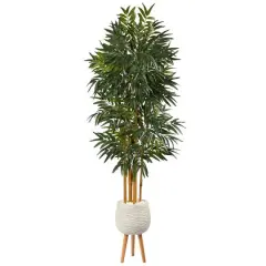 74" Phoenix Palm Tree in White Planter with Stand