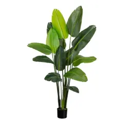 6ft. UV-Resistant Artificial Traveler's Palm Tree