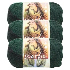 3 Pack Lion Brand&reg; Scarfie&reg; Yarn Forest/Black