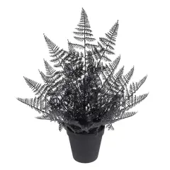 16" Black Fern by Ashland&reg;