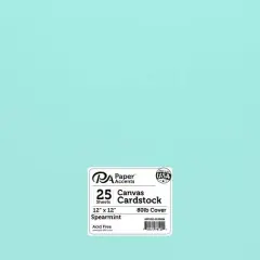 PA Paper&trade; Accents 12" x 12" 80lb. Canvas Cardstock Paper, 25 Sheets Spearmint