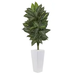 4ft. Zebra Plant in White Tower Planter