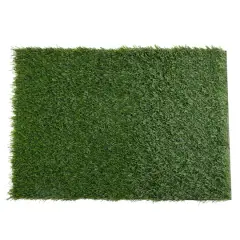 Green Grass Placemat by Celebrate It&trade;