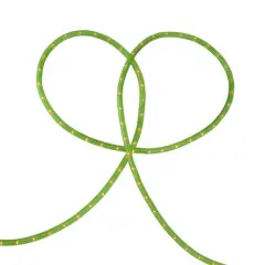18ft. Lime Green Rope Lights