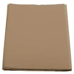 JAM Paper Tissue Paper, 480 Sheets Tan