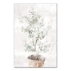 Washed Olive Tree 20" x 30" Canvas Wall Art