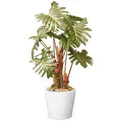 21" Garden Accents Philodendron Flower