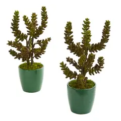 11" Green Succulent in Green Pot, 2ct.