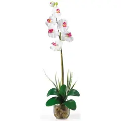 2ft. White Orchid Arrangement In Glass Vase
