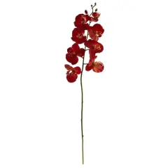 Red Autumn Moth Orchid Flower Stems, 6ct.
