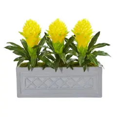 20" Bromeliad Plant in Stone Planter
