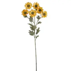 Gold Daisy Mum Spray by Ashland&reg;