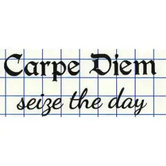 Leisure Arts&reg; Vinyl Carpe Diem Seize The Day Black Wall Decal