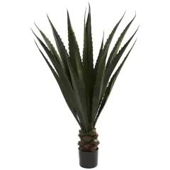 4.5ft. Potted Giant Agave Plant