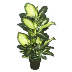 3.3ft. Potted Artificial Green & White Dumb Cane Tree