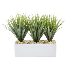 12" Vanilla Grass in White Rectangular Planter