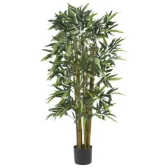 4ft. Potted Biggy Bamboo Tree