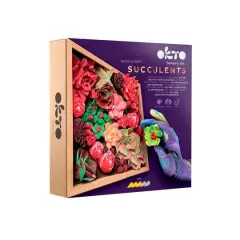OKTO DIY Wood & Craft Passion Succulents Clay Kit