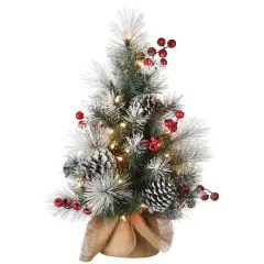 2ft. Pre-Lit Snowy Glacier Pine Artificial Christmas Tree, Warm White LED Lights