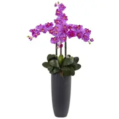 3.5ft. Phalaenopsis Orchid Arrangement with Bullet Planter