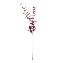 Tall Burgundy Eucalyptus Stem by Ashland&reg;